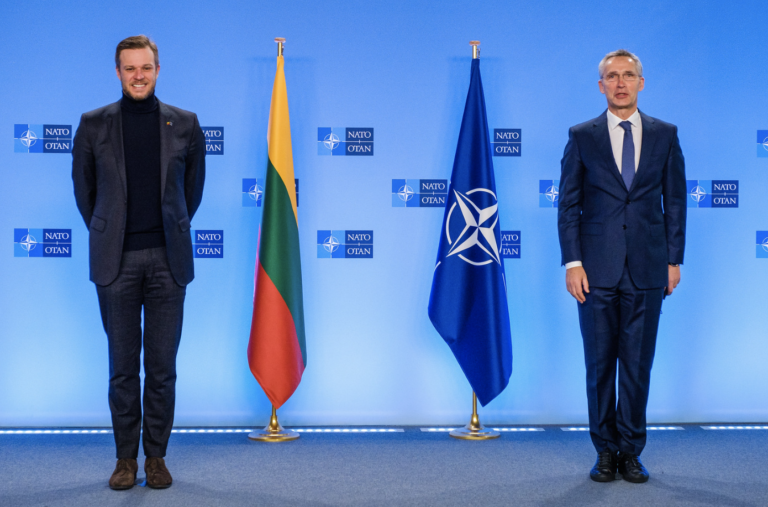 The Lithuanian Perspective on the Role of Small States in Strengthening NATO Security 